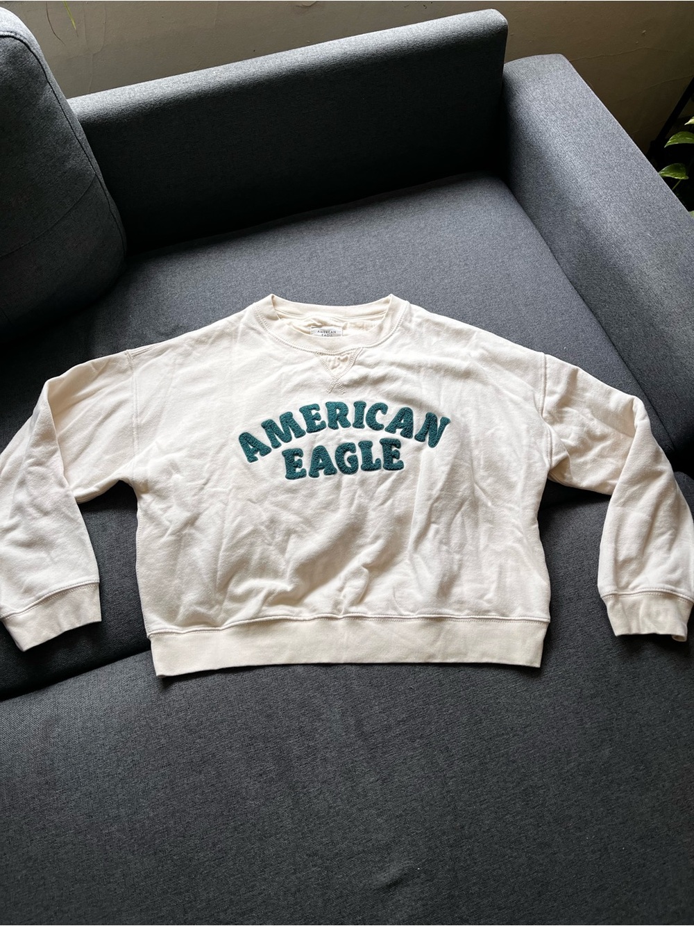 American Eagle Cream Green Teal Chenille Logo Sweatshirt Medium Crewneck Cropped